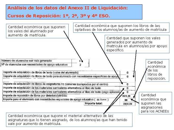 Análisis de los datos del Anexo II de Liquidación: Cursos de Reposición: 1º, 2º,