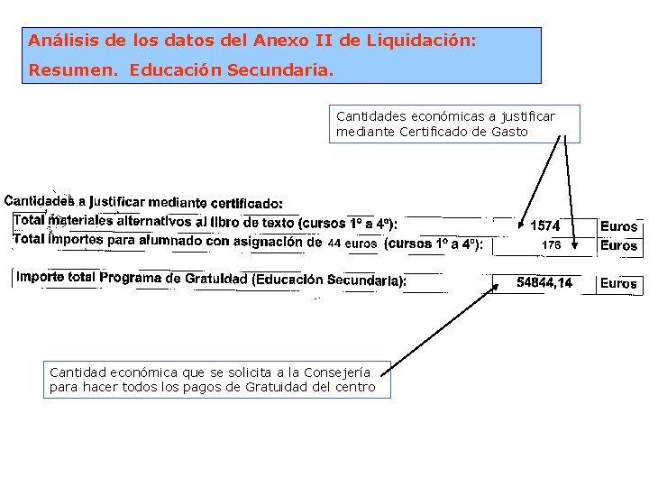 Análisis de los datos del Anexo II de Liquidación: Resumen. Educación Secundaria. Cantidades económicas