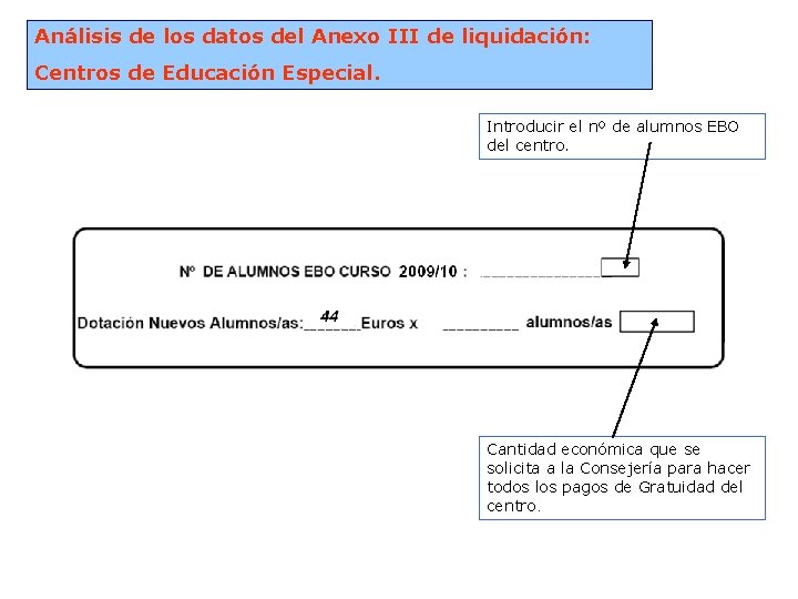 Análisis de los datos del Anexo III de liquidación: Centros de Educación Especial. Introducir