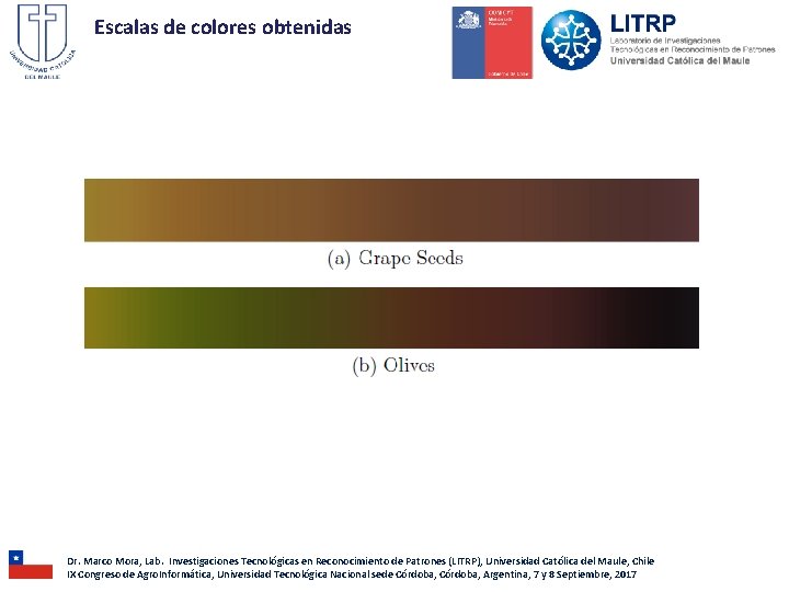Escalas de colores obtenidas Dr. Marco Mora, Lab. Investigaciones Tecnológicas en Reconocimiento de Patrones Escalas de colores obtenidas Dr. Marco Mora, Lab. Investigaciones Tecnológicas en Reconocimiento de Patrones
