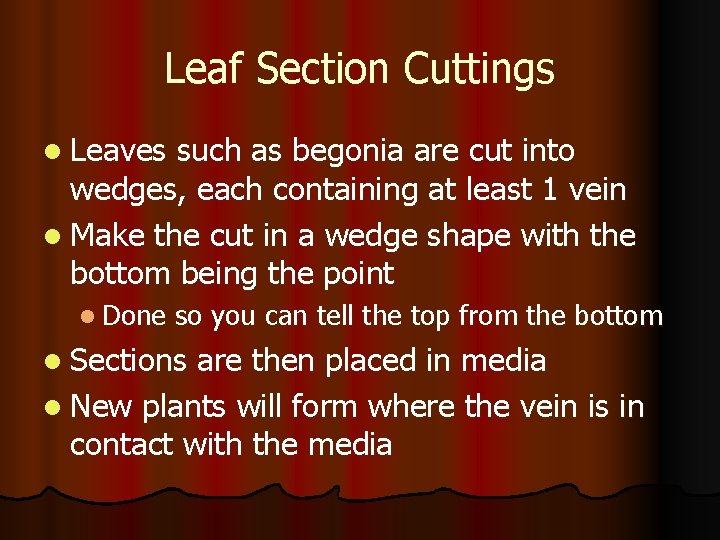 Leaf Section Cuttings l Leaves such as begonia are cut into wedges, each containing