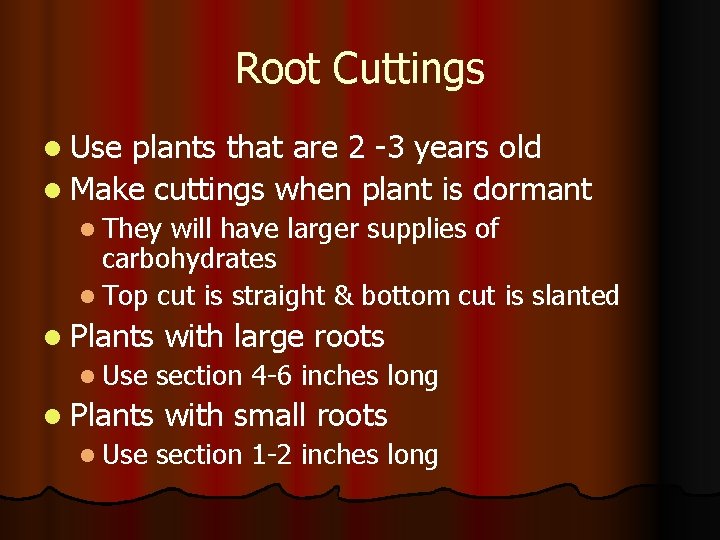 Root Cuttings l Use plants that are 2 -3 years old l Make cuttings