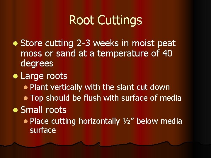 Root Cuttings l Store cutting 2 -3 weeks in moist peat moss or sand
