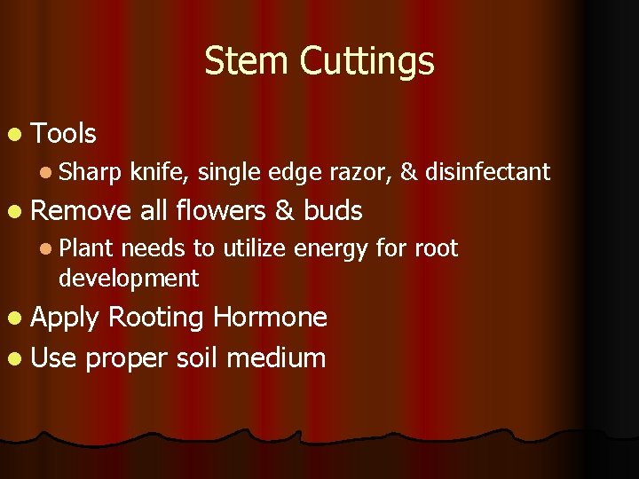 Stem Cuttings l Tools l Sharp knife, single edge razor, & disinfectant l Remove