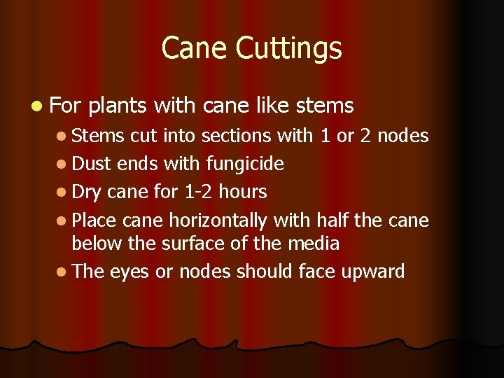 Cane Cuttings l For plants with cane like stems l Stems cut into sections