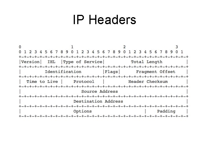 IP Headers 
