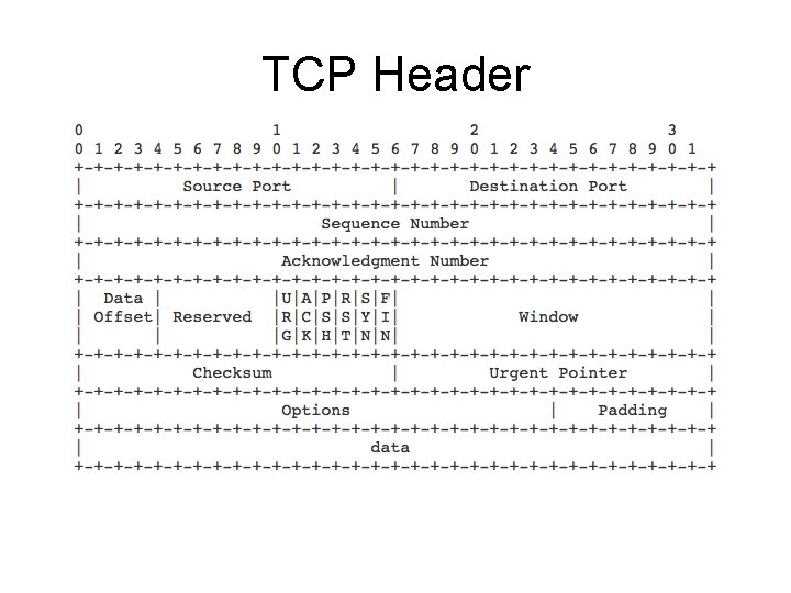 TCP Header 