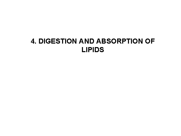 4. DIGESTION AND ABSORPTION OF LIPIDS 