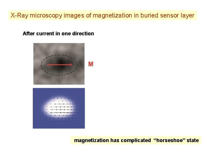 X-Ray microscopy images of magnetization in buried sensor layer After current in one direction
