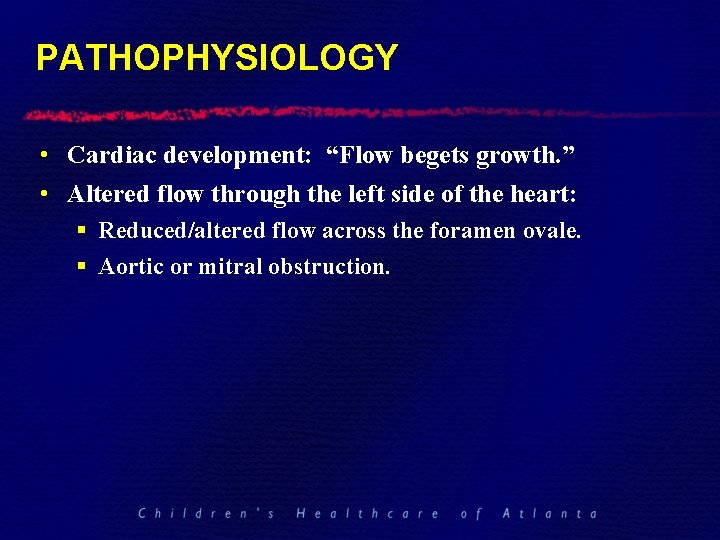 PATHOPHYSIOLOGY • Cardiac development: “Flow begets growth. ” • Altered flow through the left