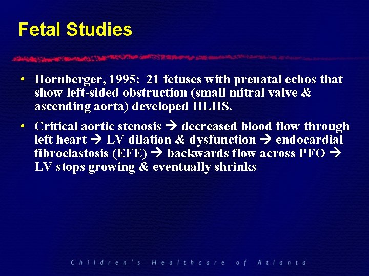 Fetal Studies • Hornberger, 1995: 21 fetuses with prenatal echos that show left-sided obstruction
