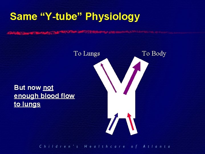 Same “Y-tube” Physiology To Lungs But now not enough blood flow to lungs To