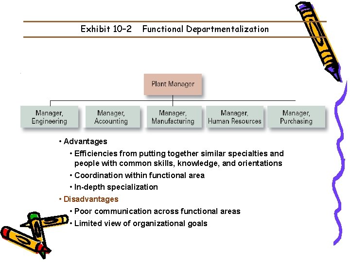 Exhibit 10– 2 Functional Departmentalization • Advantages • Efficiencies from putting together similar specialties