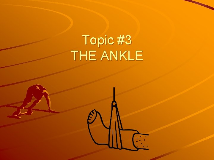 Topic #3 THE ANKLE 