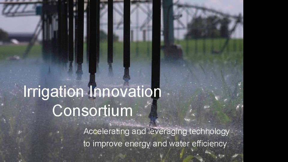 Irrigation Innovation Consortium Accelerating and leveraging technology to improve energy and water efficiency. 