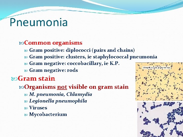 Pneumonia Common organisms Gram positive: diplococci (pairs and chains) Gram positive: clusters, ie staphylococcal