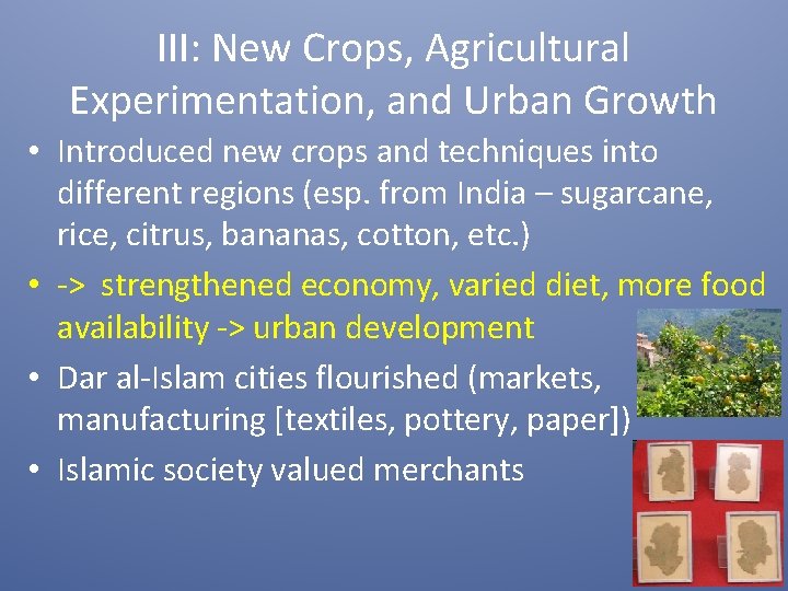 III: New Crops, Agricultural Experimentation, and Urban Growth • Introduced new crops and techniques