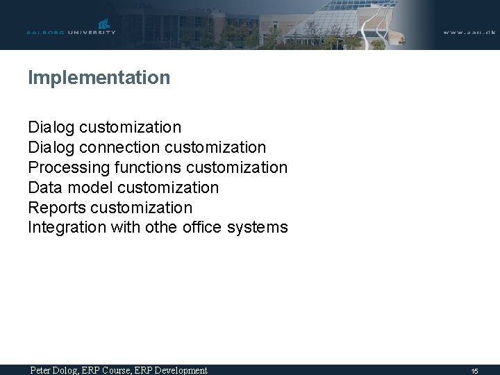 Implementation Dialog customization Dialog connection customization Processing functions customization Data model customization Reports customization