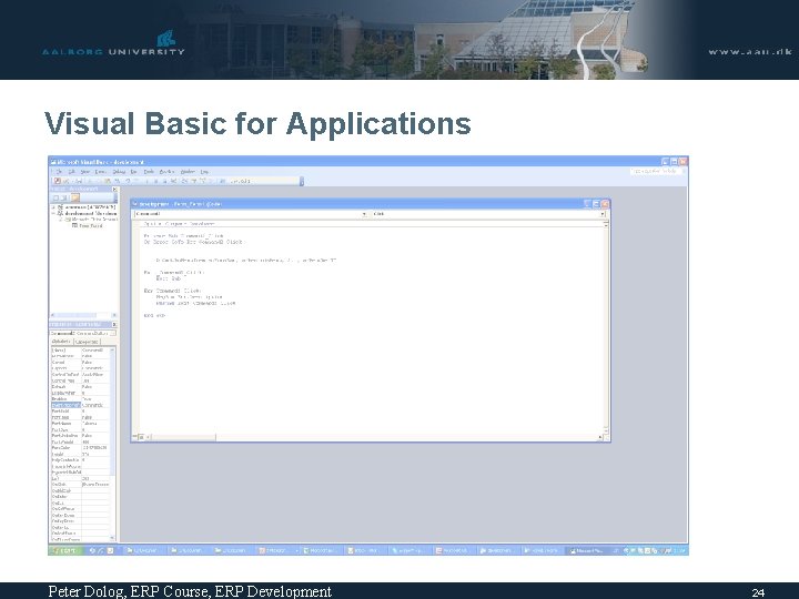 Visual Basic for Applications Peter Dolog, ERP Course, ERP Development 24 