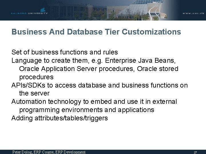 Business And Database Tier Customizations Set of business functions and rules Language to create