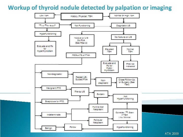 Workup of thyroid nodule detected by palpation or imaging ATA 2009 