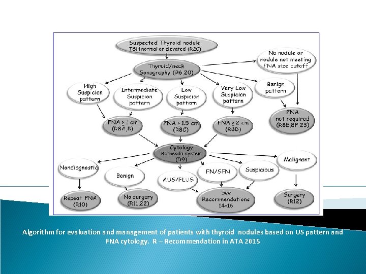 Algorithm for evaluation and management of patients with thyroid nodules based on US pattern