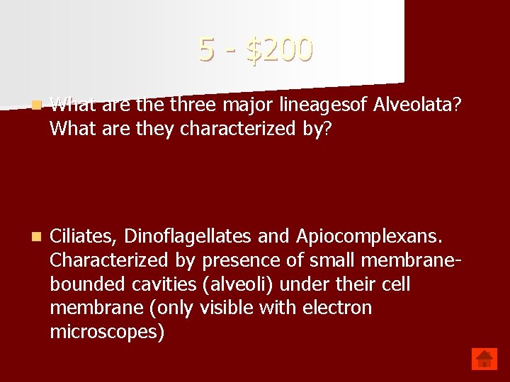 5 - $200 n What are three major lineagesof Alveolata? What are they characterized