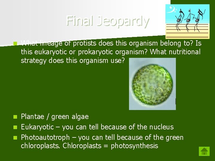 Final Jeopardy n What lineage of protists does this organism belong to? Is this