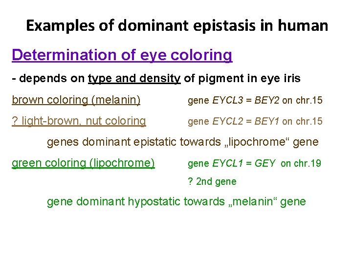Examples of dominant epistasis in human Determination of eye coloring - depends on type