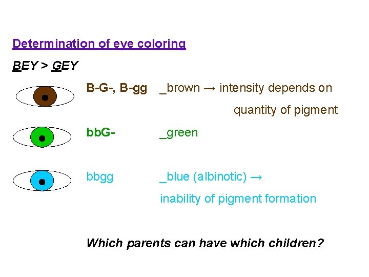 Determination of eye coloring BEY > GEY B-G-, B-gg _brown → intensity depends on