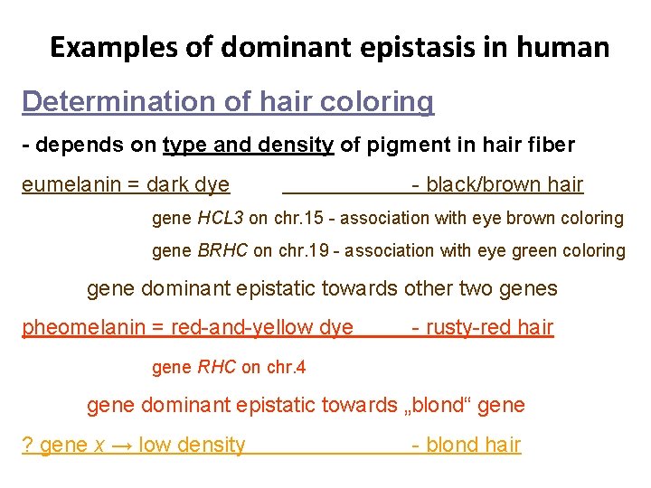 Examples of dominant epistasis in human Determination of hair coloring - depends on type