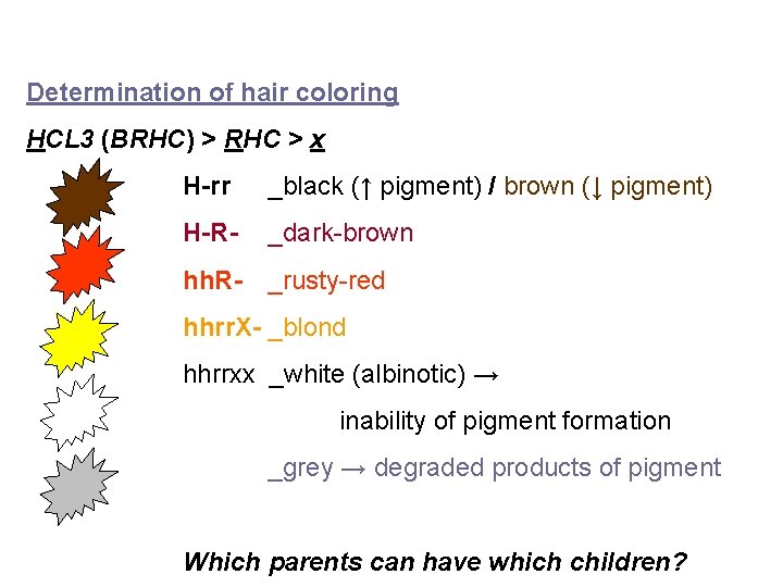 Determination of hair coloring HCL 3 (BRHC) > RHC > x H-rr _black (↑