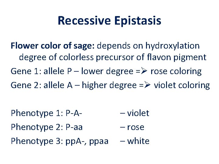 Recessive Epistasis Flower color of sage: depends on hydroxylation degree of colorless precursor of