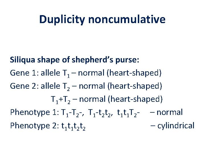 Duplicity noncumulative Siliqua shape of shepherd’s purse: Gene 1: allele T 1 – normal