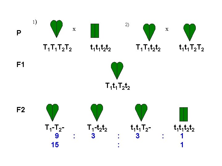 1) 2) x P T 1 T 1 T 2 T 2 t 1