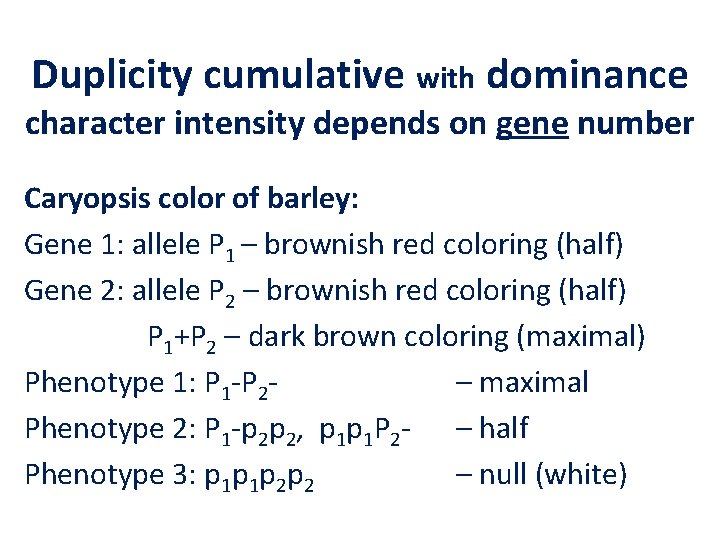 Duplicity cumulative with dominance character intensity depends on gene number Caryopsis color of barley:
