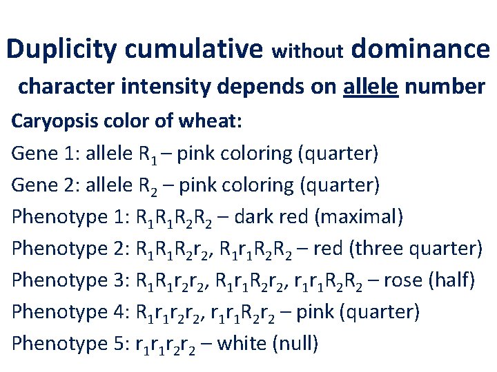 Duplicity cumulative without dominance character intensity depends on allele number Caryopsis color of wheat: