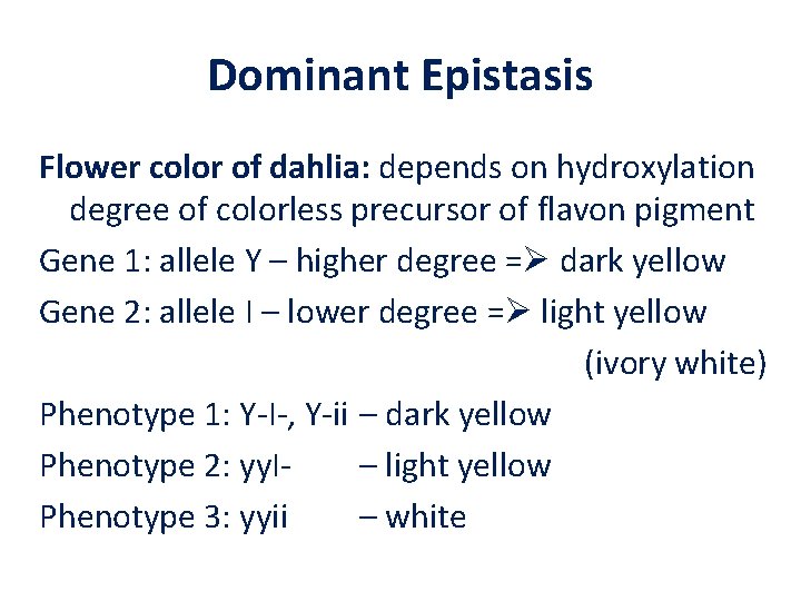 Dominant Epistasis Flower color of dahlia: depends on hydroxylation degree of colorless precursor of