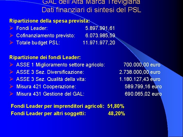 GAL dell’Alta Marca Trevigiana Dati finanziari di sintesi del PSL Ripartizione della spesa prevista: GAL dell’Alta Marca Trevigiana Dati finanziari di sintesi del PSL Ripartizione della spesa prevista: