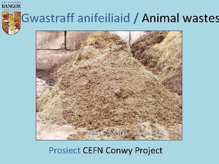 Gwastraff anifeiliaid / Animal wastes Prosiect CEFN Conwy Project 