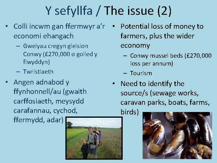 Y sefyllfa / The issue (2) • Colli incwm gan ffermwyr a’r • Potential