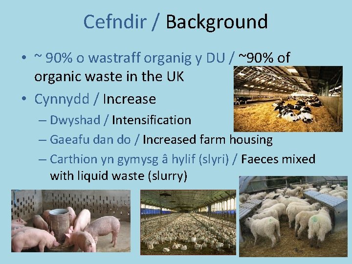 Cefndir / Background • ~ 90% o wastraff organig y DU / ~90% of