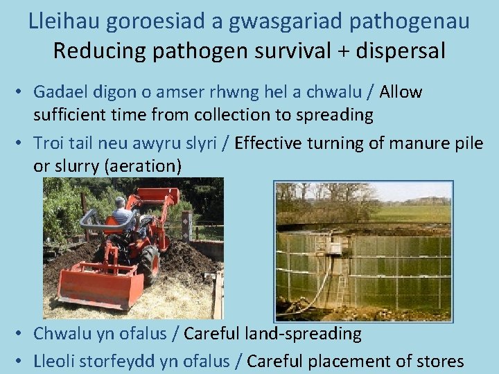 Lleihau goroesiad a gwasgariad pathogenau Reducing pathogen survival + dispersal • Gadael digon o