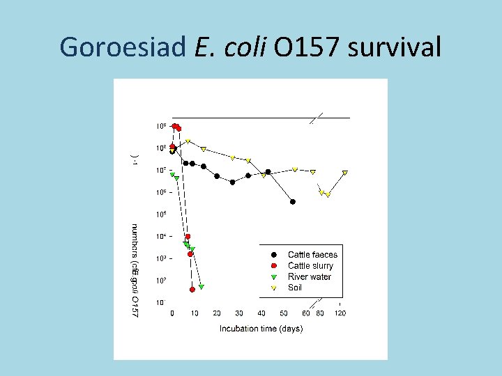 Goroesiad E. coli O 157 survival 
