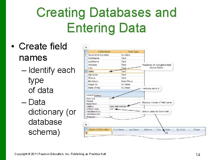Creating Databases and Entering Data • Create field names – Identify each type of