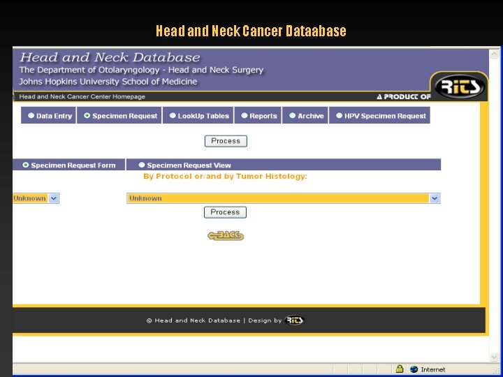 Head and Neck Cancer Dataabase 