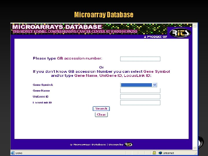 Microarray Database 