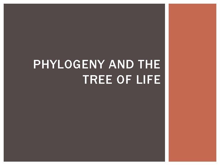 PHYLOGENY AND THE TREE OF LIFE 