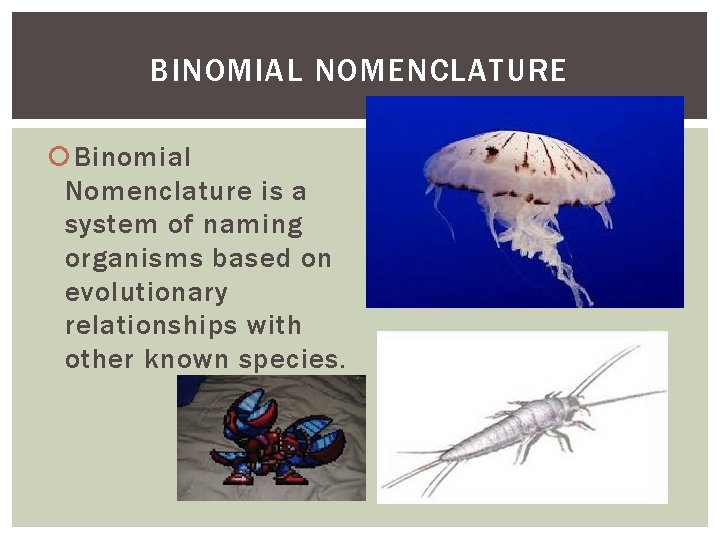 BINOMIAL NOMENCLATURE Binomial Nomenclature is a system of naming organisms based on evolutionary relationships