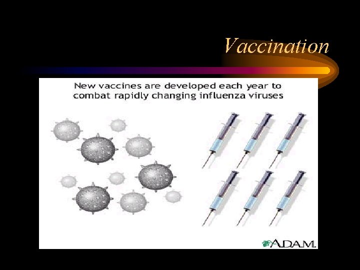 Vaccination 